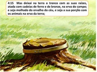 4:15 Mas deixai na terra o tronco com as suas raízes,
atada com cadeias de ferro e de bronze, na erva do campo;
e seja molhado do orvalho do céu, e seja a sua porção com
os animais na erva da terra;

 