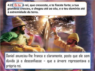 4:22 És tu ó rei, que cresceste, e te fizeste forte; a tua
tu,
grandeza cresceu, e chegou até ao céu, e o teu domínio até
à extremidade da terra.

Daniel anunciou-lhe franca e claramente, posto que ele sem
dúvida já o desconfiasse – que a árvore representava o
próprio rei.

 
