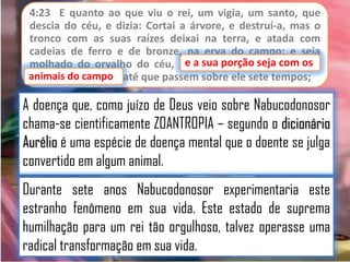 4:23 E quanto ao que viu o rei, um vigia, um santo, que
descia do céu, e dizia: Cortai a árvore, e destruí-a, mas o
tronco com as suas raízes deixai na terra, e atada com
cadeias de ferro e de bronze, na erva do campo; e seja
sua
molhado do orvalho do céu, eeaa sua porção seja com os
seja com os
animais do campo até que passem sobre ele sete tempos;
animais do campo,

A doença que, como juízo de Deus veio sobre Nabucodonosor
chama-se cientificamente ZOANTROPIA – segundo o dicionário
Aurélio é uma espécie de doença mental que o doente se julga
convertido em algum animal.
Durante sete anos Nabucodonosor experimentaria este
estranho fenômeno em sua vida. Este estado de suprema
humilhação para um rei tão orgulhoso, talvez operasse uma
radical transformação em sua vida.

 
