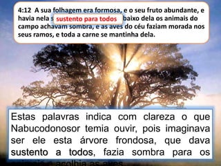 4:12 A sua folhagem era formosa, e o seu fruto abundante, e
havia nela sustento para todos; debaixo dela os animais do
campo achavam sombra, e as aves do céu faziam morada nos
seus ramos, e toda a carne se mantinha dela.
sustento para todos
Estas palavras indica com clareza o que
Nabucodonosor temia ouvir, pois imaginava
ser ele esta árvore frondosa, que dava
sustento a todos, fazia sombra para os
 