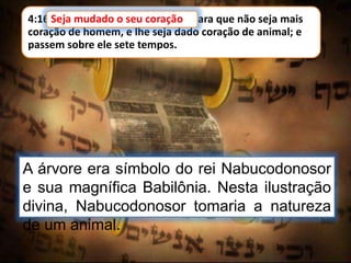 4:16 Seja mudado o seu coração, para que não seja mais
coração de homem, e lhe seja dado coração de animal; e
passem sobre ele sete tempos.
Seja mudado o seu coração
A árvore era símbolo do rei Nabucodonosor
e sua magnífica Babilônia. Nesta ilustração
divina, Nabucodonosor tomaria a natureza
de um animal.
 