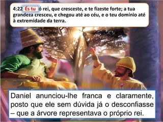 4:22 És tu, ó rei, que cresceste, e te fizeste forte; a tua
grandeza cresceu, e chegou até ao céu, e o teu domínio até
à extremidade da terra.
És tu
Daniel anunciou-lhe franca e claramente,
posto que ele sem dúvida já o desconfiasse
– que a árvore representava o próprio rei.
 