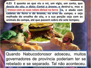 4:23 E quanto ao que viu o rei, um vigia, um santo, que
descia do céu, e dizia: Cortai a árvore, e destruí-a, mas o
tronco com as suas raízes deixai na terra, e atada com
cadeias de ferro e de bronze, na erva do campo; e seja
molhado do orvalho do céu, e a sua porção seja com os
animais do campo, até que passem sobre ele sete tempos;
tronco com as suas raízes deixai na terra
Quando Nabucodonosor adoeceu, muitos
governadores de província poderiam ter se
rebelado e se separado. Tal não aconteceu.
 