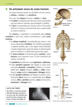 14 BLOCO 1 À descoberta de si mesmo
1.1 OS OSSOS
Os principais ossos do corpo humano
O corpo humano pode ser dividido em três zonas:
a cabeça, o tronco e os membros.
Os ossos da cabeça formam o crânio e a face.
• O crânio é composto por diversos ossos, encaixados
uns nos outros e imóveis, que protegem o cérebro.
• A face é constituída por catorze ossos. O maxilar
inferior é o único osso móvel da face, sendo todos
os outros imóveis.
No tronco, o esqueleto é constituído pela coluna
vertebral (e, por isso, somos vertebrados) e pela caixa
torácica.
• A coluna vertebral é constituída por trinta e três
ossos, chamados vértebras. As vértebras protegem
a espinal medula, que é um órgão muito delicado
e muito importante, pois transmite as informações
entre o cérebro e as diferentes partes do corpo.
• A caixa torácica é formada pelas costelas e pelo
esterno (em conjunto com 12 das vértebras da
coluna vertebral).
Os membros classificam-se em superiores e inferiores.
• Cada membro superior está ligado à caixa torá-
cica pela clavícula e omoplata (ombro) e é consti-
tuído por: úmero (braço), cúbito e rádio (ante-
braço), carpo (pulso), metacarpo e falanges (mão).
• Cada membro inferior está ligado à coluna verte-
bral pelo ilíaco (anca) e é constituído por: fémur
(coxa), tíbia e perónio (perna), tarso (tornozelo),
metatarso e falanges (pé).
Crânio.
Coluna vertebral e caixa
torácica.
Ossos dos membros superiores.
SALTO NO TEMPO
Em 1895, o cientista alemão
Wilhelm Röntgen descobriu
um novo tipo de radiação que
permitia obter imagens dos
ossos. Chamou-lhe raios X.
Parietal
Frontal
Maxilar inferior
(mandíbula)
Úmero
Vértebra
Esterno
Costela
Cúbito
Rádio
Occipital
Braço
Antebraço
Mão
Carpo
Metacarpo
Falanges
363929 012-025 U1.indd 14 18/03/13 16:56
 