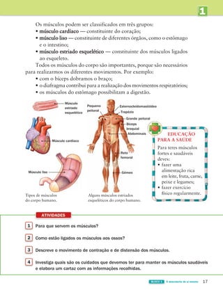 1 Para que servem os músculos?
2 Como estão ligados os músculos aos ossos?
3 Descreve o movimento de contração e de distensão dos músculos.
4 Investiga quais são os cuidados que devemos ter para manter os músculos saudáveis
e elabora um cartaz com as informações recolhidas.
ATIVIDADES
17
BLOCO 1 À descoberta de si mesmo
Esternocleidomastóideo
Grande peitoral
Músculo cardíaco
Músculo liso
Músculo
estriado
esquelético Trapézio
Bíceps
braquial
Pequeno
peitoral
Reto
femoral
Gémeo
Abdominais
1
UNIDADE
Os músculos podem ser classificados em três grupos:
• músculo cardíaco — constituinte do coração;
• músculo liso — constituinte de diferentes órgãos, como o estômago
e o intestino;
• músculo estriado esquelético — constituinte dos músculos ligados
ao esqueleto.
Todos os músculos do corpo são importantes, porque são necessários
para realizarmos os diferentes movimentos. Por exemplo:
• com o bíceps dobramos o braço;
• o diafragma contribui para a realização dos movimentos respiratórios;
• os músculos do estômago possibilitam a digestão.
Alguns músculos estriados
esqueléticos do corpo humano.
Tipos de músculos
do corpo humano.
EDUCAÇÃO
PARA A SAÚDE
Para teres músculos
fortes e saudáveis
deves:
• fazer uma
alimentação rica
em leite, fruta, carne,
peixe e legumes;
• fazer exercício
físico regularmente.
363929 012-025 U1.indd 17 18/03/13 16:56
 