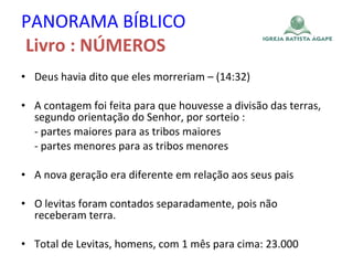 PANORAMA BÍBLICO   Livro : NÚMEROS Deus havia dito que eles morreriam – (14:32) A contagem foi feita para que houvesse a divisão das terras, segundo orientação do Senhor, por sorteio : - partes maiores para as tribos maiores - partes menores para as tribos menores A nova geração era diferente em relação aos seus pais O levitas foram contados separadamente, pois não receberam terra. Total de Levitas, homens, com 1 mês para cima: 23.000 