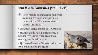 Deus Manda Codornizes (Nm. 11:31-35)
◈ Deus manda codornas que começam
a cair em volta do acampamento
(num raio de 30 Km e cobriam o
chão à 1 m altura)
• Ninguém pegou menos de 1000 Kilos
• Quando ainda havia muita carne, o
Senhor envia uma epidemia e mata
muita gente devido a gula.
• Quibrote-Ataavá = Sepultura dos que
foram dominados pela gula 35
 