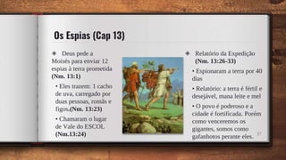 Os Espias (Cap 13)
◈ Deus pede a
Moisés para enviar 12
espias à terra prometida
(Nm. 13:1)
• Eles trazem: 1 cacho
de uva, carregado por
duas pessoas, romãs e
figos.(Nm. 13:23)
• Chamaram o lugar
de Vale do ESCOL
(Nm.13:24)
◈ Relatório da Expedição
(Nm. 13:26-33)
• Espionaram a terra por 40
dias
• Relatório: a terra é fértil e
desejável, mana leite e mel
• O povo é poderoso e a
cidade é fortificada. Porém
como venceremos os
gigantes, somos como
gafanhotos perante eles. 37
 