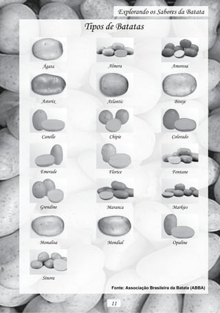 Explorando os Sabores da Batata

           Tipos de Batatas


 Ágata           Almera                        Amorosa




Asterix          Atlantic                        Bintje




Canelle           Chipie                       Colorado




Emerade          Florice                        Fontane




Grendine         Maranca                        Markies




Monalisa         Mondial                        Opaline




 Sinora
                   Fonte: Associação Brasileira da Batata (ABBA)


                  11
 