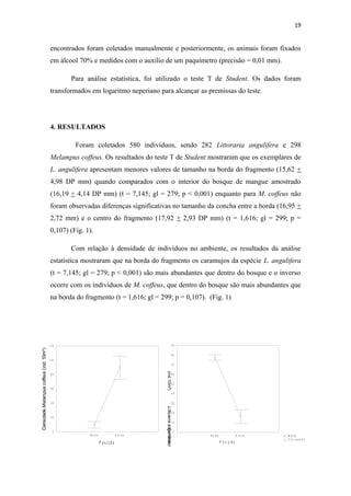 19


                                         encontrados foram coletados manualmente e posteriormente, os animais foram fixados
                                         em álcool 70% e medidos com o auxílio de um paquímetro (precisão = 0,01 mm).

                                                Para análise estatística, foi utilizado o teste T de Student. Os dados foram
                                         transformados em logaritmo neperiano para alcançar as premissas do teste.




                                         4. RESULTADOS

                                                  Foram coletados 580 indivíduos, sendo 282 Littoraria angulifera e 298
                                         Melampus coffeus. Os resultados do teste T de Student mostraram que os exemplares de
                                         L. angulifera apresentam menores valores de tamanho na borda do fragmento (15,62 +
                                         4,98 DP mm) quando comparados com o interior do bosque de mangue amostrado
                                         (16,19 + 4,14 DP mm) (t = 7,145; gl = 279; p < 0,001) enquanto para M. coffeus não
                                         foram observadas diferenças significativas no tamanho da concha entre a borda (16,95 +
                                         2,72 mm) e o centro do fragmento (17,92 + 2,93 DP mm) (t = 1,616; gl = 299; p =
                                         0,107) (Fig. 1).

                                                Com relação à densidade de indivíduos no ambiente, os resultados da análise
                                         estatística mostraram que na borda do fragmento os caramujos da espécie L. angulifera
                                         (t = 7,145; gl = 279; p < 0,001) são mais abundantes que dentro do bosque e o inverso
                                         ocorre com os indivíduos de M. coffeus, que dentro do bosque são mais abundantes que
                                         na borda do fragmento (t = 1,616; gl = 299; p = 0,107). (Fig. 1)




                                         120                                                                      90
Densidade Melampus coffeus (ind. 10m²)




                                                                                                                  80
                                         100
                                                                                                                  70
                                                                                             (ind.10m²)




                                          80                                                                      60


                                                                                                                  50
                                          60
                                                                                                                  40


                                          40                                                                      30
                                                                                             Littoraria angulifera




                                                                                                                  20
                                          20
                                                                                                                  10
                                                                                                          Densidade




                                           0                                                                          0
                                                       Bo rd a                  D e n tr o                                Bo rd a                  D e n tr o   M é d ia
                                                                                               M é d ia
                                                                                               E rro -p a d rã o                                                Erro -p a d rã o
                                                                 P o s iç ã o                                                       P o s iç ã o
 