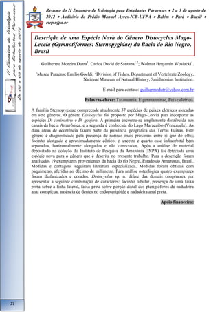 Resumo do II Encontro de Ictiologia para Estudantes Paraenses  2 a 3 de agosto de 
2012  Auditório do Prédio Manuel Ayres-ICB-UFPA  Belém  Pará  Brasil  
eiep.ufpa.br 
Guilherme Moreira Dutra1, Carlos David de Santana1,2; Wolmar Benjamin Wosiacki1. 
1Museu Paraense Emílio Goeldi; 2Division of Fishes, Department of Vertebrate Zoology, 
National Museum of Natural History, Smithsonian Institution. 
E-mail para contato: guilhermedutr@yahoo.com.br 
Palavras-chave: Taxonomia, Eigenmanninae, Peixe elétrico. 
A família Sternopygidae compreende atualmente 37 espécies de peixes elétricos alocadas 
em sete gêneros. O gênero Distocyclus foi proposto por Mago-Leccia para incorporar as 
espécies D. conirostris e D. goajira. A primeira encontra-se amplamente distribuída nos 
canais da bacia Amazônica, e a segunda é conhecida do Lago Maracaíbo (Venezuela). As 
duas áreas de ocorrência fazem parte da província geográfica das Terras Baixas. Este 
gênero é diagnosticado pela presença de narinas mais próximas entre si que do olho; 
focinho alongado e aproximadamente cônico; e terceiro e quarto osso infraorbital bem 
separados, horizontalmente alongados e não conectados. Após a análise de material 
depositado na coleção do Instituto de Pesquisa da Amazônia (INPA) foi detectada uma 
espécie nova para o gênero que é descrita no presente trabalho. Para a descrição foram 
analisados 19 exemplares provenientes da bacia do rio Negro, Estado do Amazonas, Brasil. 
Medidas e contagens seguiram literatura especializada. Medidas foram obtidas com 
paquímetro, aferidas ao décimo de milímetro. Para análise osteológica quatro exemplares 
foram diafanizados e corados. Distocyclus sp. n. difere das demais congêneres por 
apresentar a seguinte combinação de caracteres: focinho tubular, presença de uma faixa 
preta sobre a linha lateral, faixa preta sobre porção distal dos pterigióforos da nadadeira 
anal conspícua, ausência de dentes no endopterigóide e nadadeira anal preta. 
Apoio financeiro: 
21 
Descrição de uma Espécie Nova do Gênero Distocyclus Mago- 
Leccia (Gymnotiformes: Sternopygidae) da Bacia do Rio Negro, 
Brasil 
 