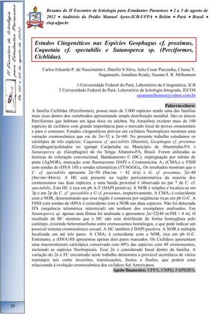 Resumo do II Encontro de Ictiologia para Estudantes Paraenses  2 a 3 de agosto de 
2012  Auditório do Prédio Manuel Ayres-ICB-UFPA  Belém  Pará  Brasil  
eiep.ufpa.br 
Carlos Eduardo P. do Nascimento1, Danillo S Silva, Julio Cesar Pieczarka, Cleusa Y. 
Nagamachi, Jonathan Ready, Susana S. R. Milhomem 
1-Universidade Federal do Pará, Laboratório de Citogenética, ICB 
2 Universidade Federal do Pará, Laboratório de Ictiologia Integrada, IECOS 
susanamilhomen@yahoo.com.br 
Palavras-chave: 
A família Cichlidae (Perciformes), possui mais de 3.000 espécies sendo uma das famílias 
mais ricas dentro dos vertebrados apresentando ampla distribuição mundial. São os únicos 
Perciformes que habitam em água doce ou salobra. Na Amazônia existem mais de 100 
espécies de ciclídeos com grande importância para o mercado local de peixes ornamentais 
e para o consumo. Estudos citogenéticos prévios em ciclídeos Neotropicais mostram uma 
variação cromossômica que vai de 2n=32 a 2n=60. No presente trabalho estudamos os 
cariótipos de três espécies: Caquetaia cf. spectabilis (Heroini), Geophagus cf. proximus 
(Geophagini)coletados no igarapé Caripetuba no Município de Abaetetuba-PA e 
Satanoperca sp. (Geophagini) do rio Xingu Altamira-PA, Brasil. Foram utilizadas as 
técnicas de coloração convencional, Bandeamento C (BC), impregnação por nitrato de 
prata (AgNOR), marcação com fluorocromo DAPI e Cromomicina A3 (CMA3) e FISH 
com sondas de rDNA 18S e sondas teloméricas (TTAGGG)n. Os resultados mostram que o 
C. cf. spectabilis apresenta 2n=50 (8m/sm + 42 st/a) e G. cf. proximus, 2n=48 
(4m/sm+44st/a). A HC está presente na região pericentromérica da maioria dos 
cromossomos nas duas espécies, e uma banda proximal é observada no par 7 de C. cf. 
spectabilis. Esta HC é rica em pb A-T (DAPI positiva). A NOR é simples e localiza-se em 
3p e em 2p de C. cf. spectabilis e G cf. proximus, respectivamente. A CMA3 é coincidente 
com a NOR, demonstrando que essa região é composta por seqüências ricas em pb G-C. A 
FISH com sondas de rDNA é coincidente com a NOR nas duas espécies. Não foi detectada 
ITS (sequência telomérica intersticial) em nenhum dos exemplares analisados. Em 
Satanoperca sp. apenas uma fêmea foi analisada e apresentou 2n=52(48 m/SM + 4 st). O 
resultado da BC mostrou que a HC não esta distribuída de forma homogênea pelo 
cariótipo, existindo heteromorfismo entre cromossomos homólogos, o que pode indicar um 
possível sistema cromossômico sexual. A HC também é DAPI positiva. A NOR é múltipla 
localizada em até três pares. A CMA3 é coincidente com a NOR, rica em pb G-C. 
Entretanto, a rDNA18S apresentou apenas dois pares marcados. Os Ciclídeos apresentam 
uma macroestrutura cariotípica conservada com 60% das espécies com 48 cromossomos, 
incluindo as espécies Neotropicais. Esse 2n é considerado basal dentro da família. A 
variação do 2n e FC encontrado neste trabalho demonstra a provável ocorrência de vários 
rearranjos tais como inversões, translocações, fusões e fissões, que podem estar 
relacionada à evolução cromossômica dos ciclídeos Sul Americanos. 
Apoio financeiro: UFPA, CNPQ, FAPESPA. 
28 
Estudos Citogenéticos nas Espécies Geophagus cf. proximus, 
Caquetaia cf. spectabilis e Satanoperca sp. (Perciformes, 
Cichlidae). 
 