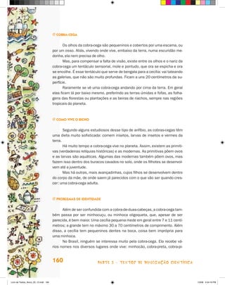 j cObra-cega


                                              Os olhos da cobra-cega são pequeninos e cobertos por uma escama, ou
                                       por um osso. Aliás, vivendo onde vive, embaixo da terra, numa escuridão me-
                                       donha, ela nem precisa de olho.
                                              Mas, para compensar a falta de visão, existe entre os olhos e o nariz da
                                       cobra-cega um tentáculo sensorial, mole e pontudo, que ora se espicha e ora
                                       se encolhe. é esse tentáculo que serve de bengala para a cecília: vai tateando
                                       as galerias, que não são muito profundas. Ficam a uns 20 centímetros da su-
                                       perfície.
                                              Raramente se vê uma cobra-cega andando por cima da terra. Em geral
                                       elas ficam lá por baixo mesmo, preferindo as terras úmidas e fofas, as folha-
                                       gens das florestas ou plantações e as beiras de riachos, sempre nas regiões
                                       tropicais do planeta.



                                       j cOmO vive O bicHO


                                              Segundo alguns estudiosos desse tipo de anfíbio, as cobras-cegas têm
                                       uma dieta muito sofisticada: comem insetos, larvas de insetos e vermes da
                                       terra.
                                              há muito tempo a cobra-cega vive no planeta. Assim, existem as primiti-
                                       vas (verdadeiras relíquias históricas) e as modernas. As primitivas põem ovos
                                       e as larvas são aquáticas. Algumas das modernas também põem ovos, mas
                                       fazem isso dentro dos buracos cavados no solo, onde os filhotes se desenvol-
                                       vem até a juventude.
                                              Mas há outras, mais avançadinhas, cujos filhos se desenvolvem dentro
                                       do corpo da mãe, de onde saem já parecidos com o que vão ser quando cres-
                                       cer: uma cobra-cega adulta.



                                       j PrOblemas de idenTidade


                                             Além de ser confundida com a cobra-de-duas-cabeças, a cobra-cega tam-
                                       bém passa por ser minhocuçu, ou minhoca oligoqueta, que, apesar de ser
                                       parecida, é bem maior. Uma cecília pequena mede em geral entre 7 e 11 centí-
                                       metros; a grande tem no máximo 30 a 70 centímetros de comprimento. Além
                                       disso, a cecília tem pequeninos dentes na boca, coisa bem imprópria para
                                       uma minhoca.
                                             No Brasil, ninguém se interessa muito pela cobra-cega. Ela recebe vá-
                                       rios nomes nos diversos lugares onde vive: minhocão, cobra-preta, cobra-pi-


                                       160                        parte 3 - teXtoS De DivuLgaçÃo cieNtífica



Livro de Textos_Aluno_20_12.indd 160                                                                                     1/3/08 5:54:16 PM
 