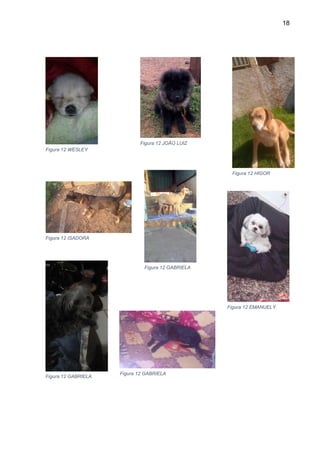 18
Figura 12 WESLEY
Figura 12 JOÃO LUIZ
Figura 12 HIGOR
Figura 12 ISADORA
Figura 12 GABRIELA
Figura 12 EMANUELY
Figura 12 GABRIELA
Figura 12 GABRIELA
 