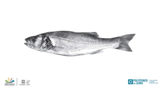 Livro do mar ao prato