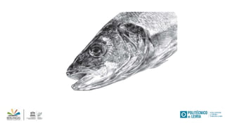 Livro do mar ao prato