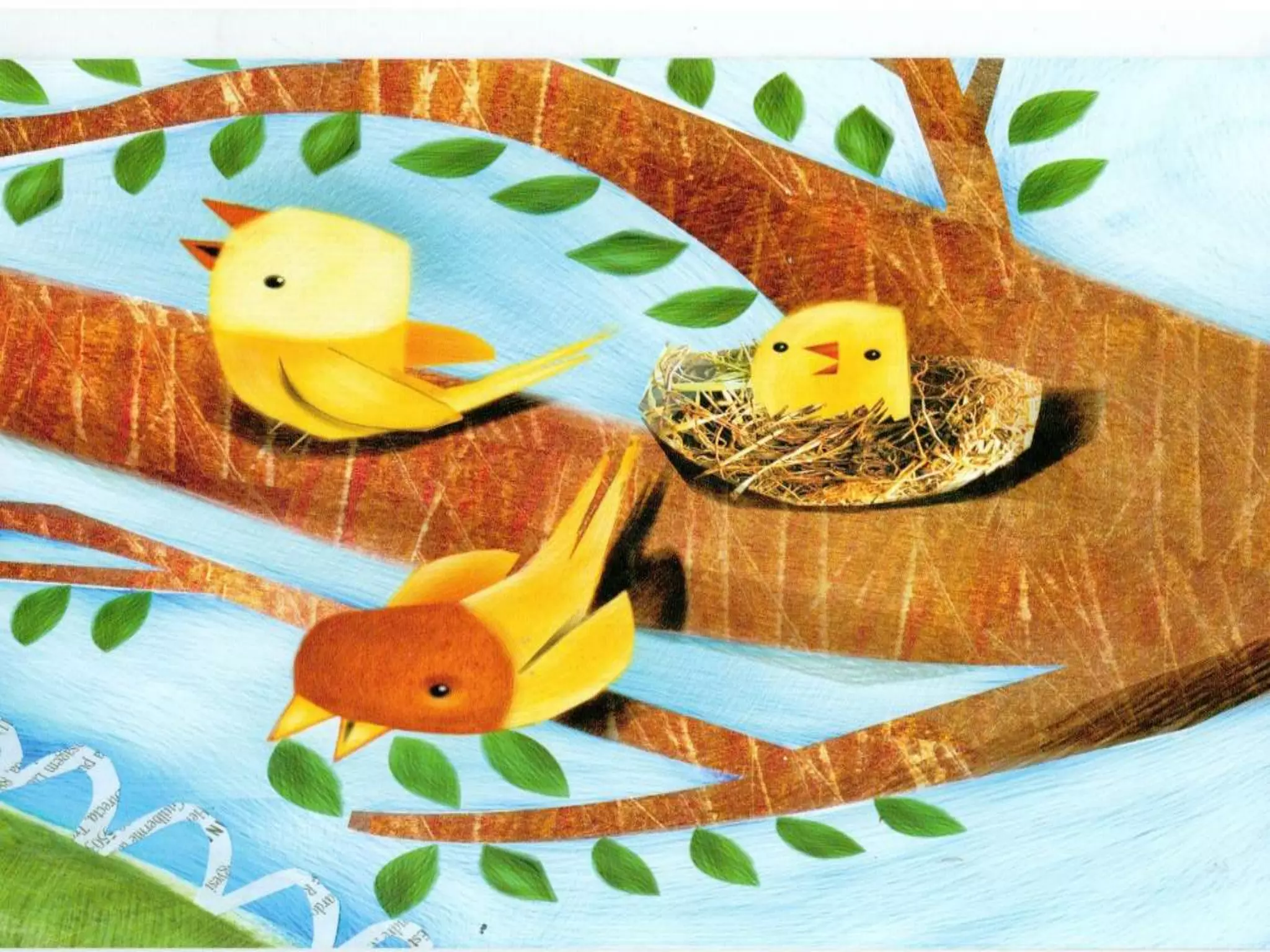 Livro dos numero bichos e flores de Cleo Busatto