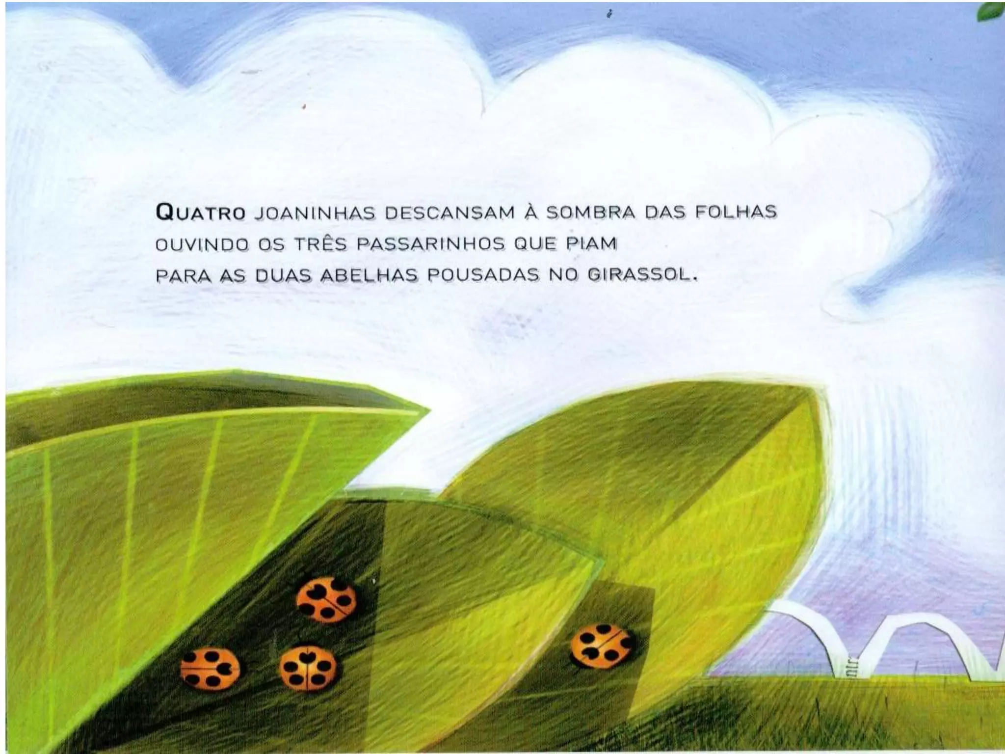 Livro dos numero bichos e flores de Cleo Busatto