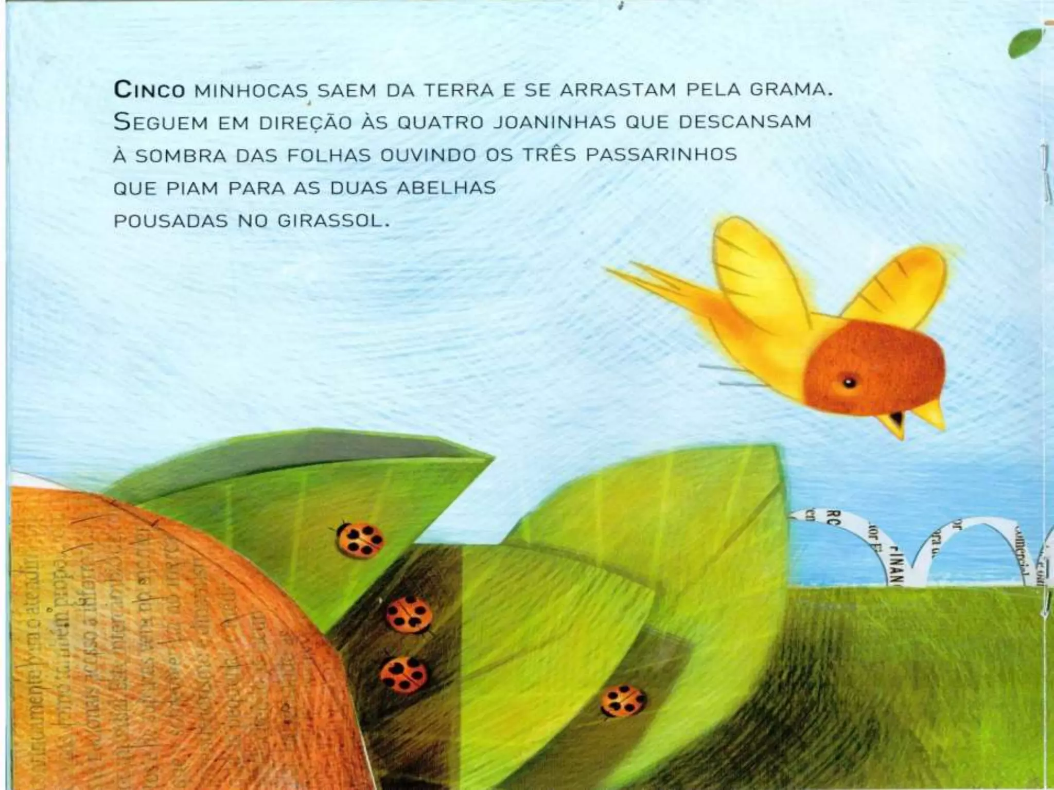 Livro dos numero bichos e flores de Cleo Busatto