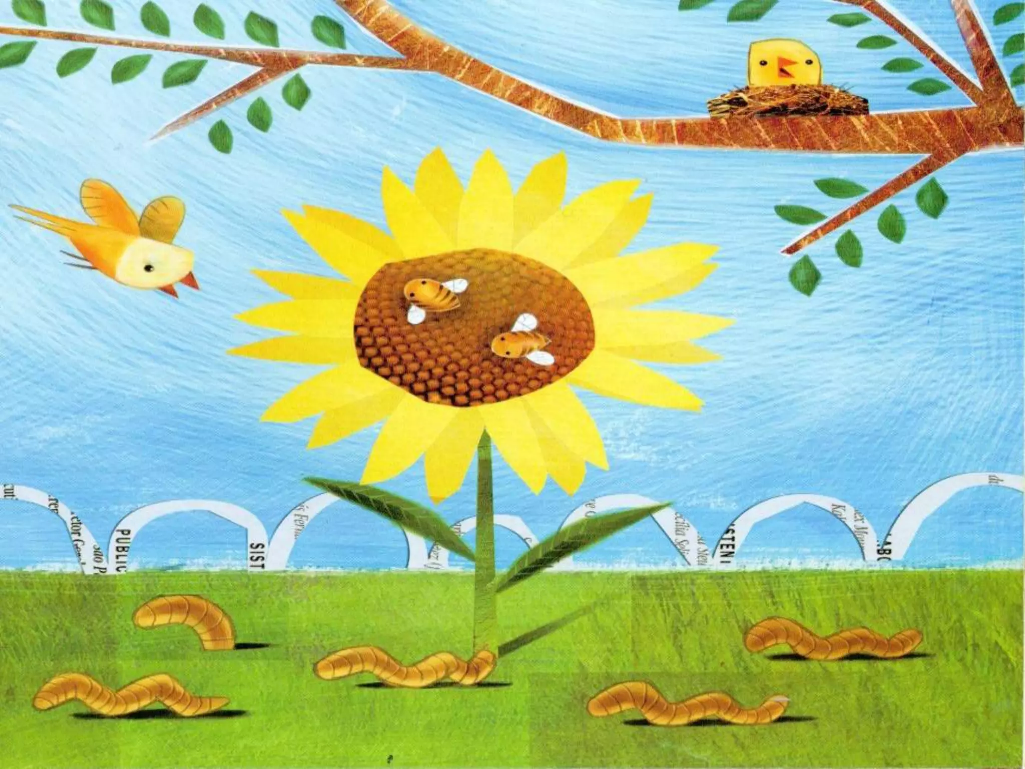 Livro dos numero bichos e flores de Cleo Busatto