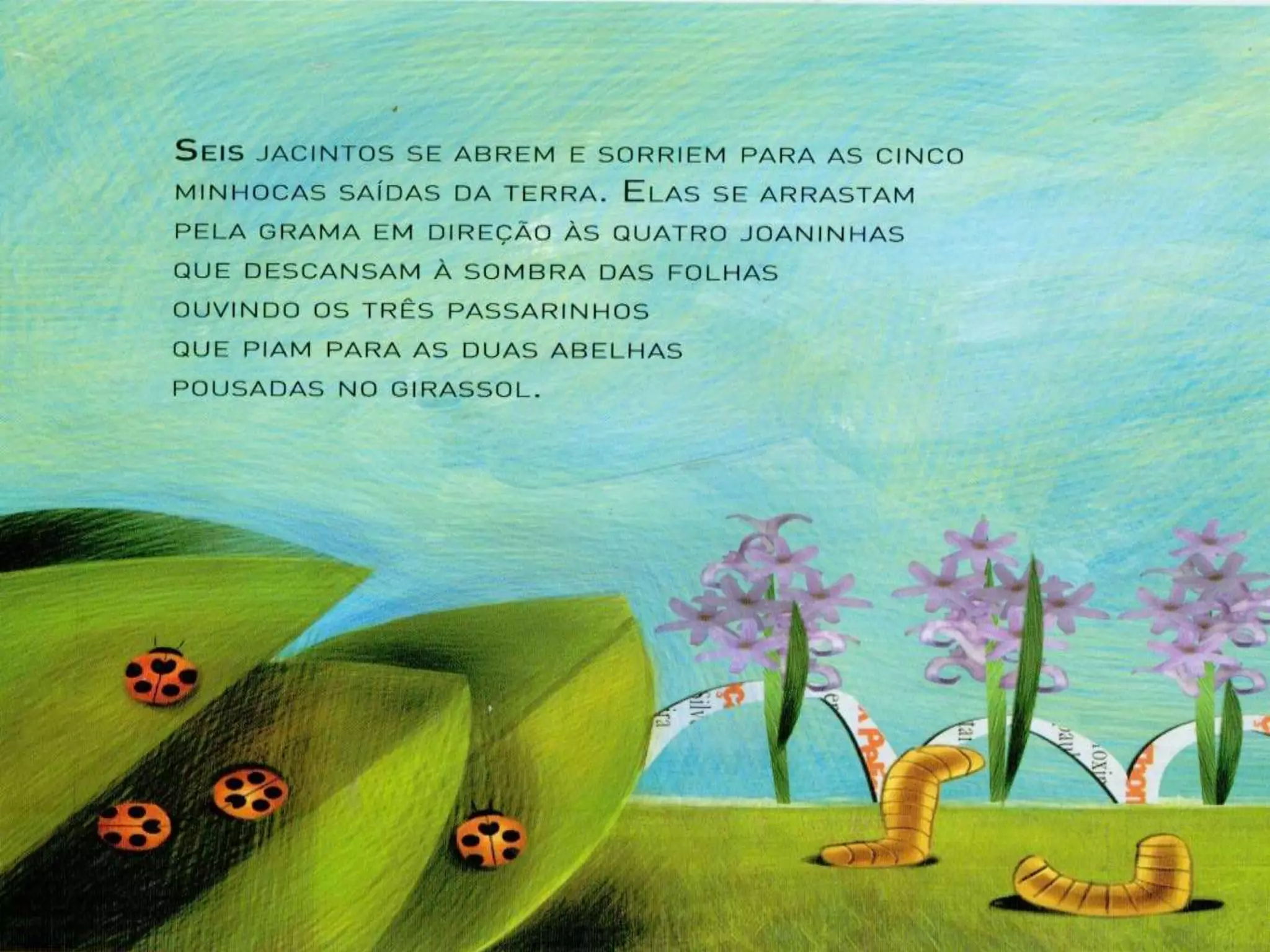 Livro dos numero bichos e flores de Cleo Busatto