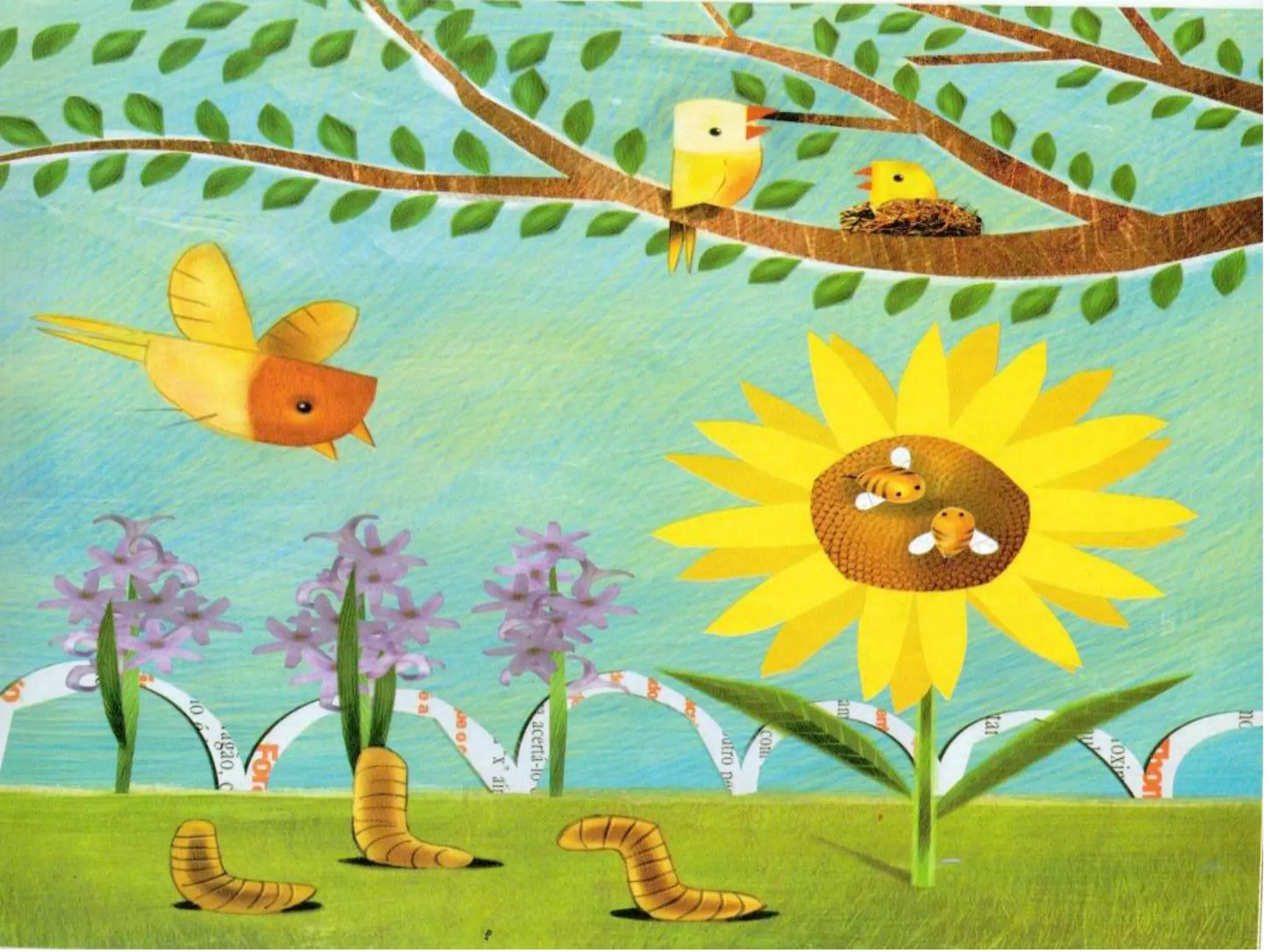 Livro dos numero bichos e flores de Cleo Busatto