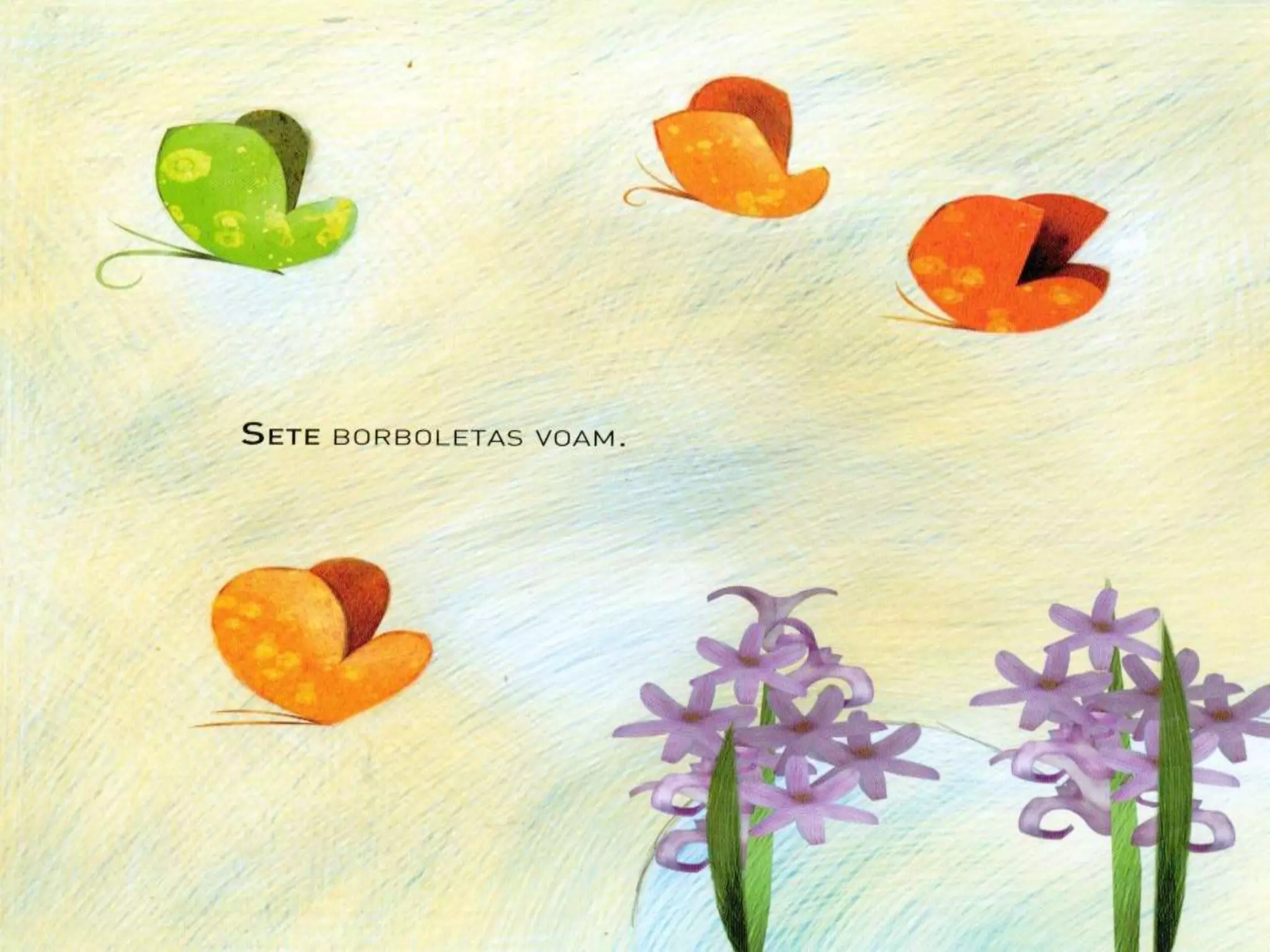 Livro dos numero bichos e flores de Cleo Busatto