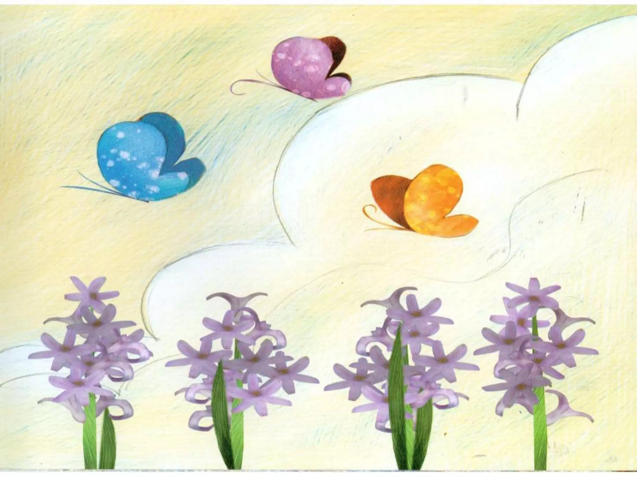 Livro dos numero bichos e flores de Cleo Busatto