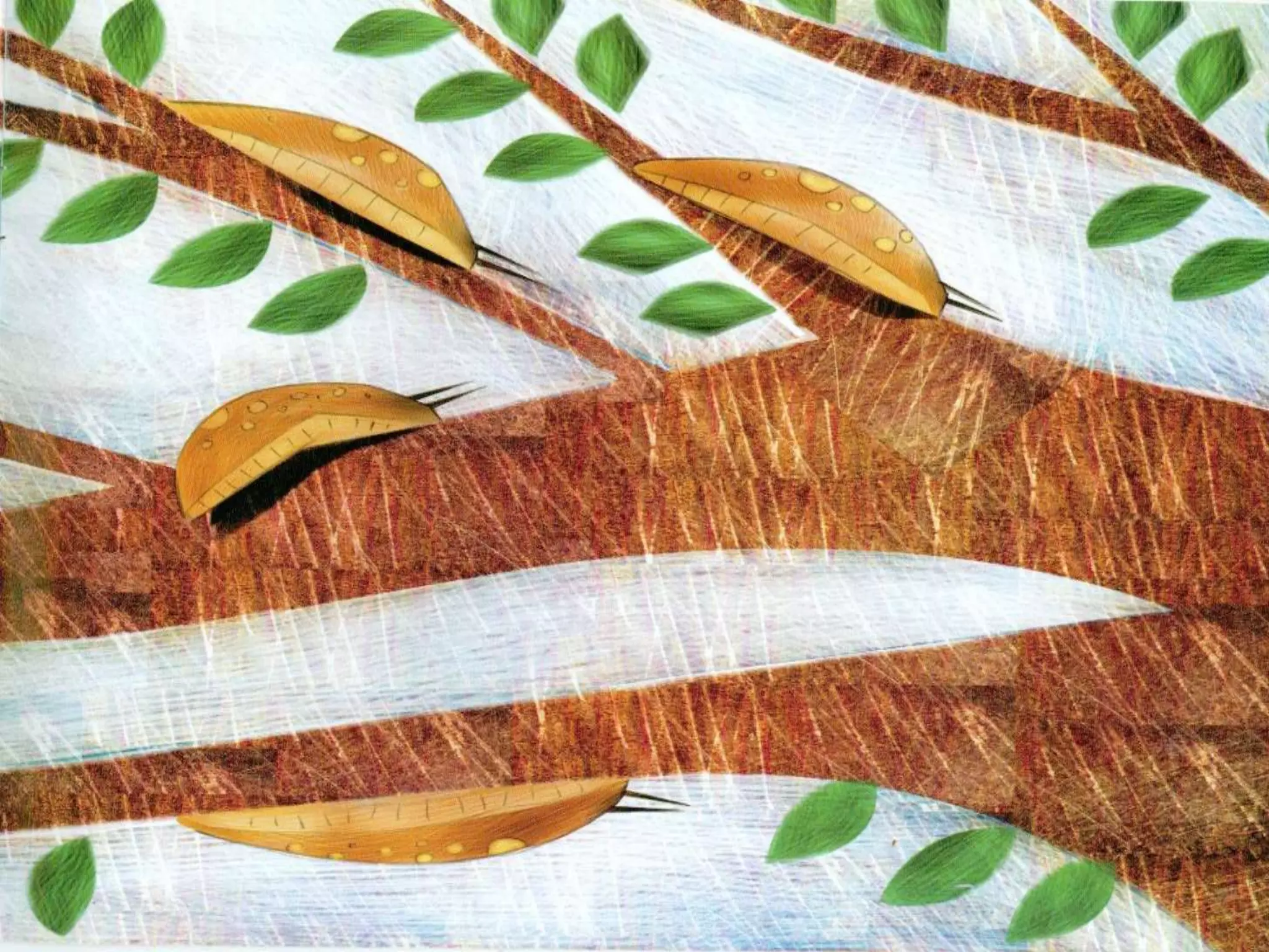 Livro dos numero bichos e flores de Cleo Busatto