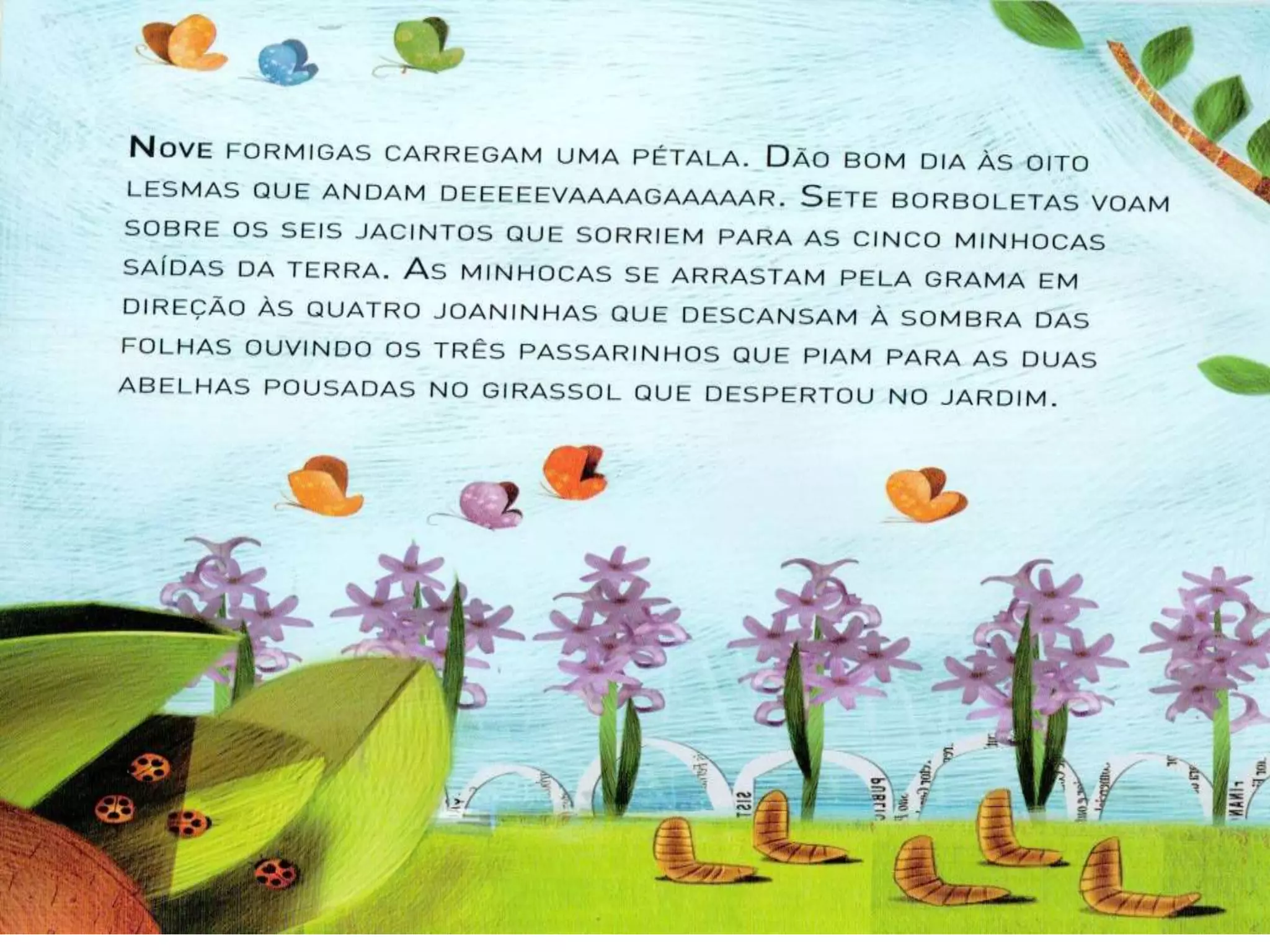 Livro dos numero bichos e flores de Cleo Busatto