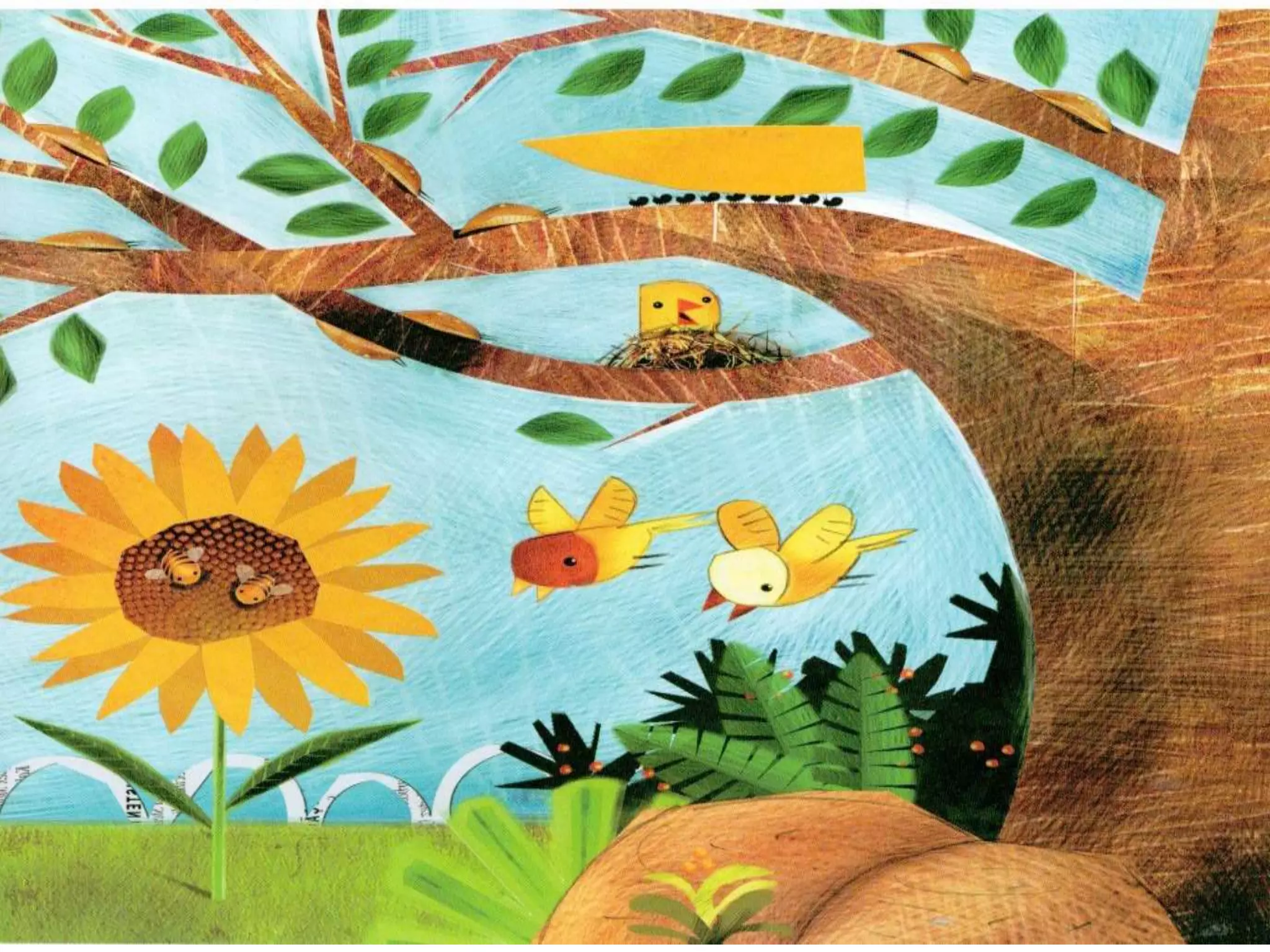 Livro dos numero bichos e flores de Cleo Busatto