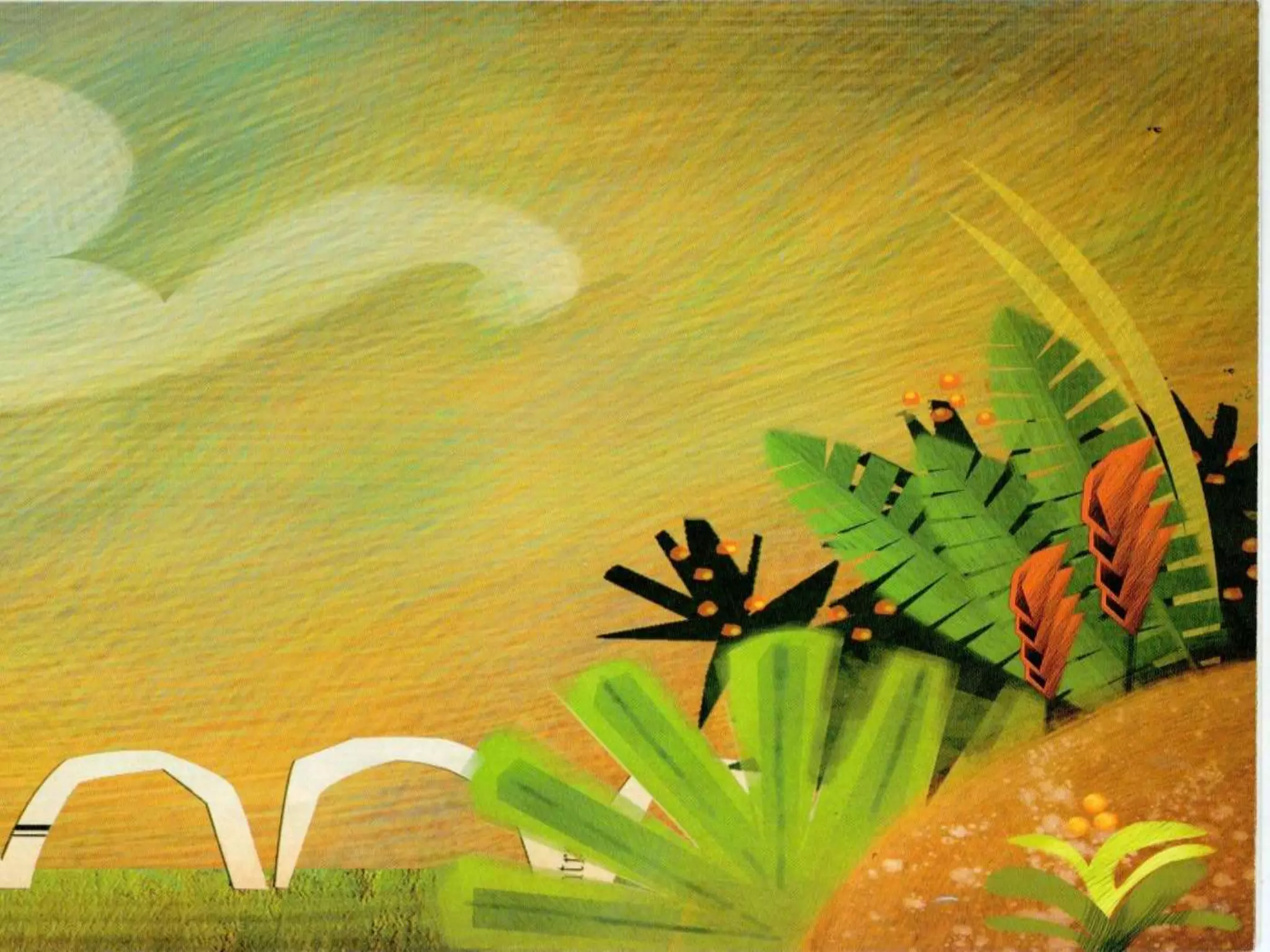 Livro dos numero bichos e flores de Cleo Busatto