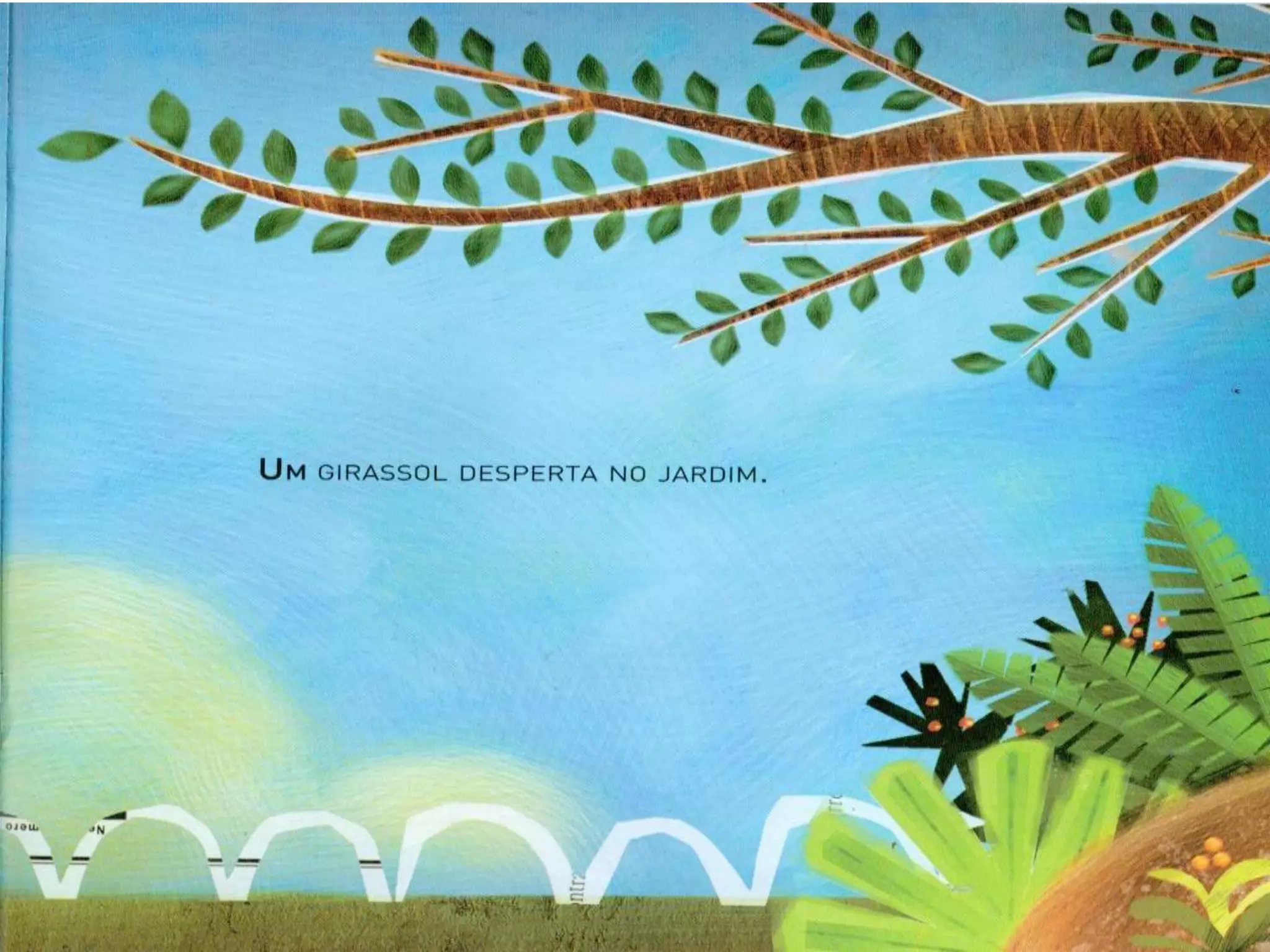 Livro dos numero bichos e flores de Cleo Busatto