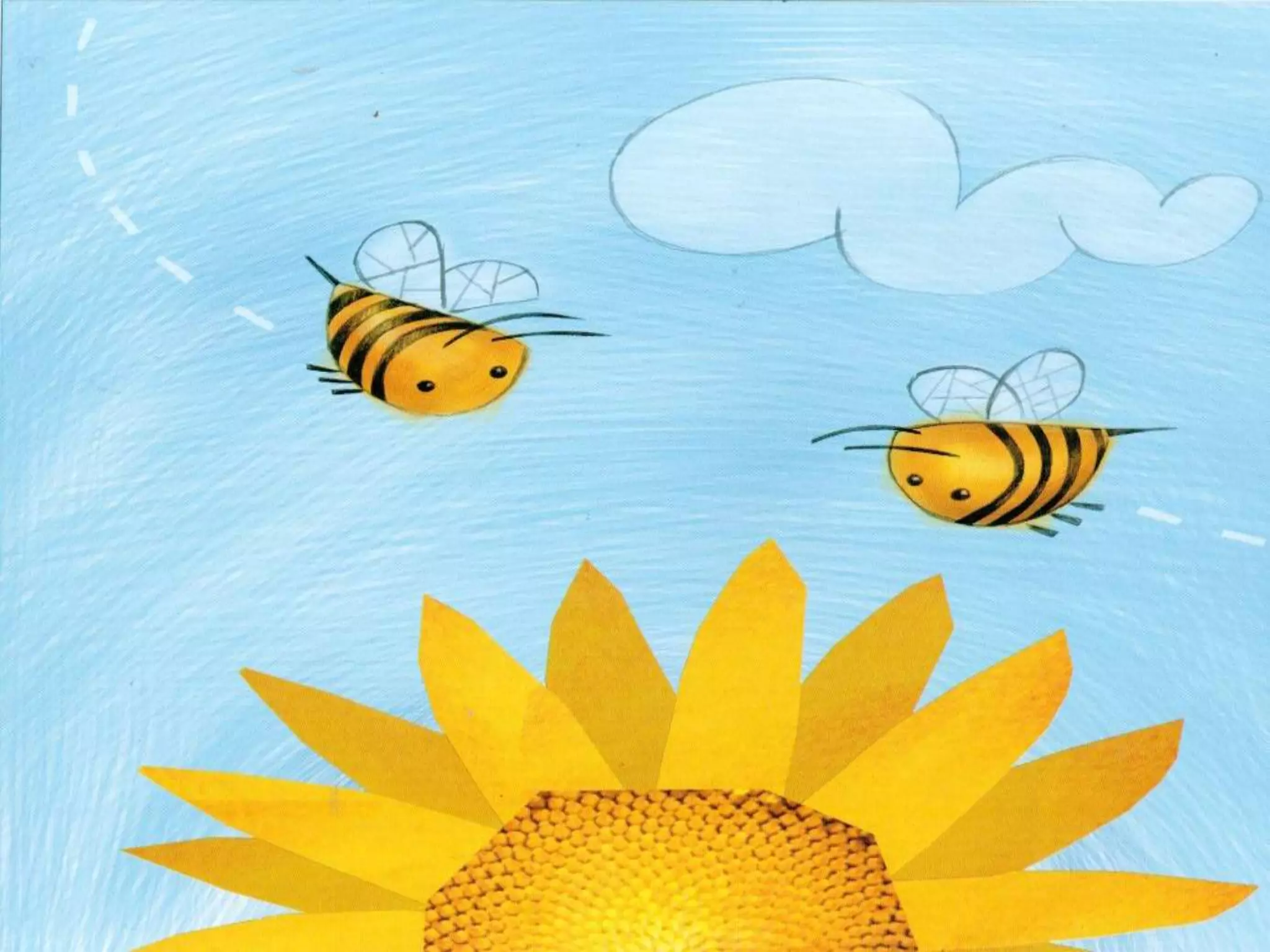 Livro dos numero bichos e flores de Cleo Busatto