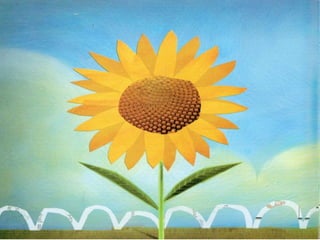 Livro dos numero bichos e flores de Cleo Busatto