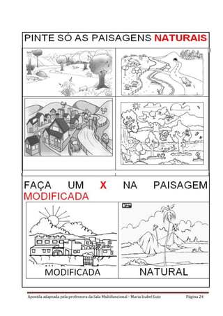 Apostila adaptada pela professora da Sala Multifuncional - Maria Izabel Luiz Página 24
 