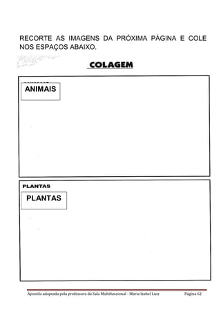 Apostila adaptada pela professora da Sala Multifuncional - Maria Izabel Luiz Página 62
RECORTE AS IMAGENS DA PRÓXIMA PÁGINA E COLE
NOS ESPAÇOS ABAIXO.
ANIMAIS
PLANTAS
 