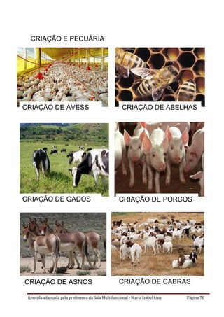 Apostila adaptada pela professora da Sala Multifuncional - Maria Izabel Luiz Página 70
CRIAÇÃO E PECUÁRIA
CRIAÇÃO DE AVESS
CRIAÇÃO DE GADOS CRIAÇÃO DE PORCOS
CRIAÇÃO DE ABELHAS
CRIAÇÃO DE CABRASCRIAÇÃO DE ASNOS
 
