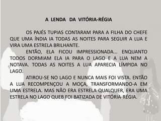 A LENDA DA VITÓRIA-RÉGIA

      OS PAJÉS TUPIAS CONTARAM PARA A FILHA DO CHEFE
QUE UMA ÍNDIA IA TODAS AS NOITES PARA SEGUIR A LUA E
VIRA UMA ESTRELA BRILHANTE.
      ENTÃO, ELA FICOU IMPRESSIONADA... ENQUANTO
TODOS DORMIAM ELA IA PARA O LAGO E A LUA NEM A
NOTAVA. TODAS AS NOITES A LUA APARECIA LÍMPIDA NO
LAGO.
      ATIROU-SE NO LAGO E NUNCA MAIS FOI VISTA. ENTÃO
A LUA RECOMPENÇOU A MOÇA, TRANSFORMANDO-A EM
UMA ESTRELA. MAS NÃO ERA ESTRELA QUALQUER, ERA UMA
ESTRELA NO LAGO QUEB FOI BATIZADA DE VITÓRIA-RÉGIA.
 