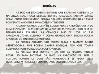 BOIÚNAS
        AS BOIÚNAS SÃO COBRAS GRANDES QUE FICAM NO AMBIENTE DA
NATUREZA. ELAS FICAM DEBAIXO DO RIO ARAGUAIA. EXISTEM VÁRIAS
DELAS, COMO POR EXEMPLO: COBRAS GRANDES, JIBÓIAS BOIÚNAS E ASSIM
POR DIANTE. A BOIÚNA É UMA COBRA INTELIGENTE.
        A COBRA GRANDE GOSTA DE COMER PEIXE E A BOIÚNA GOSTA DE
COMER PESSOAS. ELAS GOSTAM DE ASSUSTAR AS PESSOAS. VÃO BEM DE
FININHO PARA ASSUSTAR AS CRIANÇAS, MAS SE FOR NO RIO
AMAZONAS , TOMA CUIDADO, A COBRA GRANDE OU A BOIÚNA PODEM
APARECER DE FININHO E COMER VOCÊ.
        AS COBRAS GRANDES SÃO MUITO RARAS E TAMBÉM MUITO
ASSUSTADORAS, POIS PODEM CAUSAR DOENÇAS. TEM QUE TOMAR
CUIDADO À NOITE PORQUE ELA PODE APARECER.
        AS BOIÚNAS TEM MUITOS FILHOS QUE AS PESSOAS TENTAM
PEGAR, SÓ PARA MOSTRAR OS OVOS NA EXPOSIÇÃO DE ARTE E
CULTURA, PORQUE OS OVOS SÃO PRATEADOS E SE PEGAR ESSES
OVOS, SERVEM PARA FAZER COMIDA, OVOS MEXIDOS, OVOS A LUA.
 