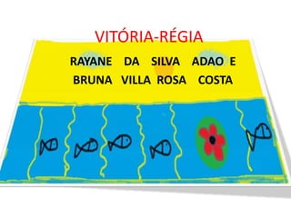 VITÓRIA-RÉGIA
RAYANE DA SILVA ADAO E
BRUNA VILLA ROSA COSTA
 