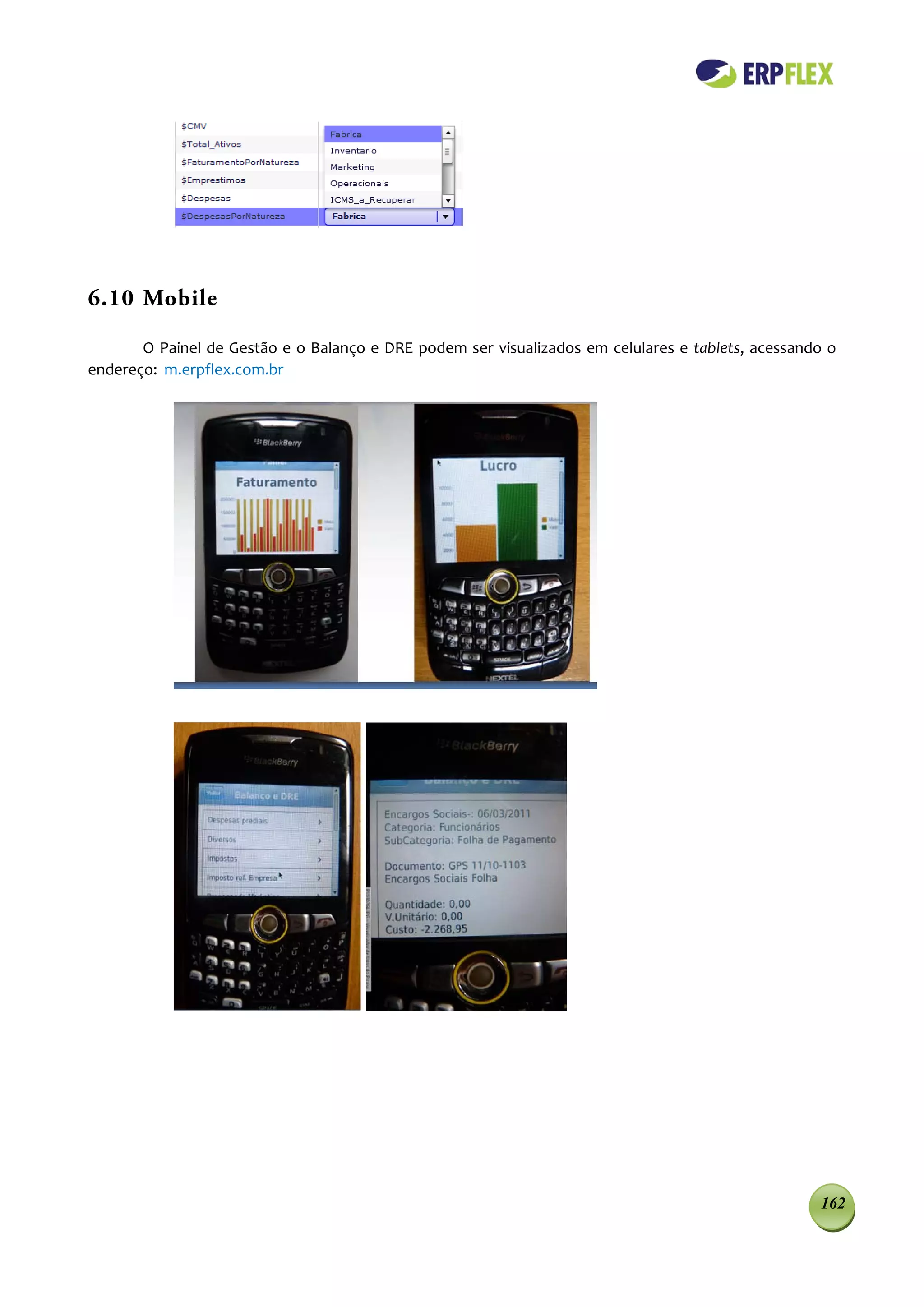 6.10 Mobile

       O Painel de Gestão e o Balanço e DRE podem ser visualizados em celulares e tablets, acessando o
endereço: m.erpflex.com.br




                                                                                                   162
 