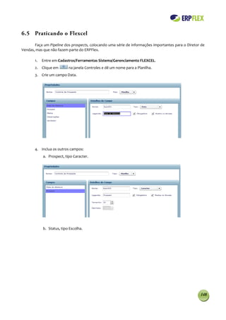 6.5 Praticando o Flexcel
       Faça um Pipeline dos prospects, colocando uma série de informações importantes para o Diretor de
Vendas, mas que não fazem parte do ERPFlex.

       1.   Entre em Cadastros/Ferramentas Sistema/Gerenciamento FLEXCEL.
       2. Clique em        na janela Controles e dê um nome para a Planilha.
       3. Crie um campo Data.




       4. Inclua os outros campos:
            a. Prospect, tipo Caracter.




            b. Status, tipo Escolha.




                                                                                                    148
 
