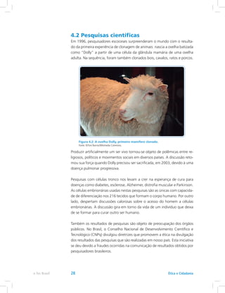 4.2 Pesquisas científicas
Em 1996, pesquisadores escoceses surpreenderam o mundo com o resulta-
do da primeira experiência de clonagem de animais: nascia a ovelha batizada
como “Dolly” a partir de uma célula da glândula mamária de uma ovelha
adulta. Na sequência, foram também clonados bois, cavalos, ratos e porcos.
Figura 4.2: A ovelha Dolly, primeiro mamífero clonado.
Fonte: ©Toni Barros/Wikimedia Commons.
Produzir artificialmente um ser vivo tornou-se objeto de polêmicas entre re-
ligiosos, políticos e movimentos sociais em diversos países. A discussão reto-
mou sua força quando Dolly precisou ser sacrificada, em 2003, devido à uma
doença pulmonar progressiva.
Pesquisas com células tronco nos levam a crer na esperança de cura para
doenças como diabetes, esclerose, Alzheimer, distrofia muscular e Parkinson.
As células embrionárias usadas nestas pesquisas são as únicas com capacida-
de de diferenciação nos 216 tecidos que formam o corpo humano. Por outro
lado, despertam discussões calorosas sobre o acesso do homem a células
embrionárias. A discussão gira em torno da vida de um indivíduo que deixa
de se formar para curar outro ser humano.
Também os resultados de pesquisas são objeto de preocupação dos órgãos
públicos. No Brasil, o Conselho Nacional de Desenvolvimento Científico e
Tecnológico (CNPq) divulgou diretrizes que promovem a ética na divulgação
dos resultados das pesquisas que são realizadas em nosso país. Esta iniciativa
se deu devido a fraudes ocorridas na comunicação de resultados obtidos por
pesquisadores brasileiros.
Ética e Cidadaniae-Tec Brasil 28
 