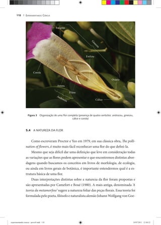 EXPERIMENTANDO CIÊNCIA118 |
Figura 3 Organização de uma ﬂor completa (presença de quatro verticilos: androceu, gineceu,
cálice e corola)
5.4 A NATUREZA DA FLOR
Como escreveram Proctor e Yeo em 1979, em sua clássica obra, The polli-
nation of flowers, é muito mais fácil reconhecer uma flor do que defini-la.
Mesmo que seja difícil dar uma definição que leve em consideração todas
as variações que as flores podem apresentar e que encontremos distintas abor-
dagens quando buscamos os conceitos em livros de morfologia, de ecologia,
ou ainda em livros gerais de botânica, é importante entendermos qual é a es-
trutura básica de uma flor.
Duas interpretações distintas sobre a natureza da flor foram propostas e
são apresentadas por Camefort e Boué (1980). A mais antiga, denominada ‘A
teoria da metamorfose’ sugere a natureza foliar das peças florais. Essa teoria foi’
formulada pelo poeta, filósofo e naturalista alemão Johann Wolfgang von Goe-
experimentando ciencia - prova9.indd 118experimentando ciencia - prova9.indd 118 19/07/2011 12:40:5219/07/2011 12:40:52
 