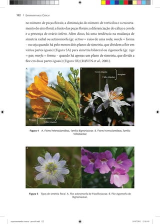 EXPERIMENTANDO CIÊNCIA122 |
no número de peças florais; a diminuição do número de verticilos e o encurta-
mento do eixo floral; a fusão das peças florais; a diferenciação do cálice e corola
e a presença de ovário ínfero. Além disso, há uma tendência na mudança de
simetria radial ou actinomorfa (gr. actino = raios de uma roda; morfa = forma
– ou seja quando há pelo menos dois planos de simetria, que dividem a flor em
várias partes iguais) (Figura 5A) para simetria bilateral ou zigomorfa (gr. zigo
= par; morfa = forma – quando há apenas um plano de simetria, que divide a
flor em duas partes iguais) (Figura 5B) (RAVEN et al., 2001).
Figura 4 A. Flores heteroclamídeas, família Bignoniaceae. B. Flores homoclamídeas, família
Velloziaceae
Figura 5 Tipos de simetria ﬂoral. A. Flor actinomorfa de Passiﬂoraceae. B. Flor zigomorfa de
Bignoniaceae.
experimentando ciencia - prova9.indd 122experimentando ciencia - prova9.indd 122 19/07/2011 12:41:0319/07/2011 12:41:03
 