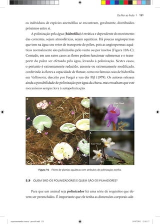Da ﬂor ao fruto | 131
os indivíduos de espécies anemófilas se encontram, geralmente, distribuídos
próximos entre si.
A polinização pela água (hidrofilia) é errática e dependente do movimento
das correntes, sejam atmosféricas, sejam aquáticas. Há poucas angiospermas
que tem na água seu vetor de transporte de pólen, pois as angiospermas aquá-
ticas normalmente são polinizadas pelo vento ou por insetos (Figura 10A-C).
Contudo, em uns raros casos as flores podem funcionar submersas e o trans-
porte do pólen ser efetuado pela água, levando à polinização. Nestes casos,
o perianto é extremamente reduzido, ausente ou extremamente modificado,
conferindo às flores a capacidade de flutuar, como no famoso caso de hidrofilia
em Vallisneria, descrito por Faegri e van der Pijl (1979). Os autores referem
ainda a possibilidade de polinização por água da chuva, mas ressaltam que este
mecanismo sempre leva à autopolinização.
Figura 10 Flores de plantas aquáticas com atributos de polinização zoóﬁla.
5.9 QUEM SÃO OS POLINIZADORES E QUEM SÃO OS PILHADORES?
Para que um animal seja polinizador há uma série de requisitos que de-
vem ser preenchidos. É importante que ele tenha as dimensões corporais ade-
experimentando ciencia - prova9.indd 131experimentando ciencia - prova9.indd 131 19/07/2011 12:41:1719/07/2011 12:41:17
 