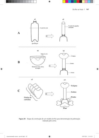Da ﬂor ao fruto | 147
Figura 20 Etapas da construção de um modelo de ﬂor para demonstração de polinização
realizada pelo vento.
experimentando ciencia - prova9.indd 147experimentando ciencia - prova9.indd 147 19/07/2011 12:41:2919/07/2011 12:41:29
 