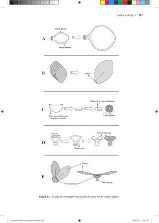 Da ﬂor ao fruto | 151
Figura 22 Etapas de montagem das partes de uma ﬂor de ovário súpero.
experimentando ciencia - prova9.indd 151experimentando ciencia - prova9.indd 151 19/07/2011 12:41:3019/07/2011 12:41:30
 
