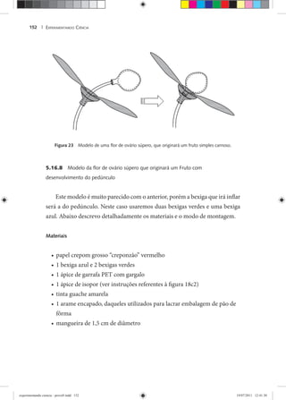 EXPERIMENTANDO CIÊNCIA152 |
Figura 23 Modelo de uma ﬂor de ovário súpero, que originará um fruto simples carnoso.
5.16.8 Modelo da ﬂor de ovário súpero que originará um Fruto com
desenvolvimento do pedúnculo
Este modelo é muito parecido com o anterior, porém a bexiga que irá inflar
será a do pedúnculo. Neste caso usaremos duas bexigas verdes e uma bexiga
azul. Abaixo descrevo detalhadamente os materiais e o modo de montagem.
Materiais
papel crepom grosso “creponzão” vermelho•
1 bexiga azul e 2 bexigas verdes•
1 ápice de garrafa PET com gargalo•
1 ápice de isopor (ver instruções referentes à figura 18c2)•
tinta guache amarela•
1 arame encapado, daqueles utilizados para lacrar embalagem de pão de•
fôrma
mangueira de 1,5 cm de diâmetro•
experimentando ciencia - prova9.indd 152experimentando ciencia - prova9.indd 152 19/07/2011 12:41:3019/07/2011 12:41:30
 